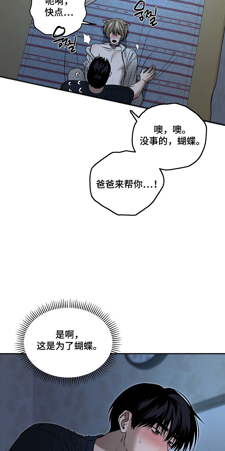 侵蚀猫咪日记动画介绍漫画,第11章：帮忙解决1图