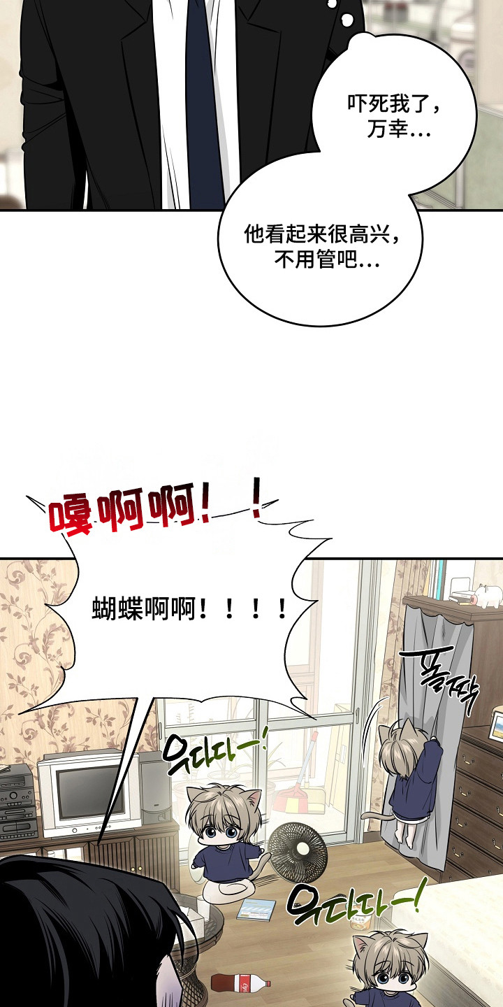 侵蚀猫咪日记大结局剧情解析漫画,第3章：收留2图