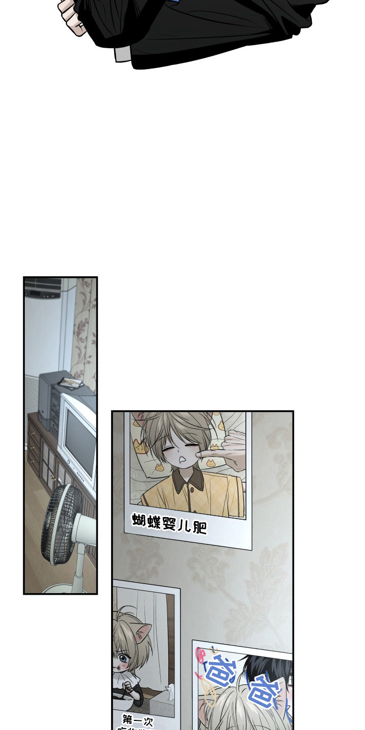 侵蚀猫咪日记动画介绍漫画,第8章：自责3图