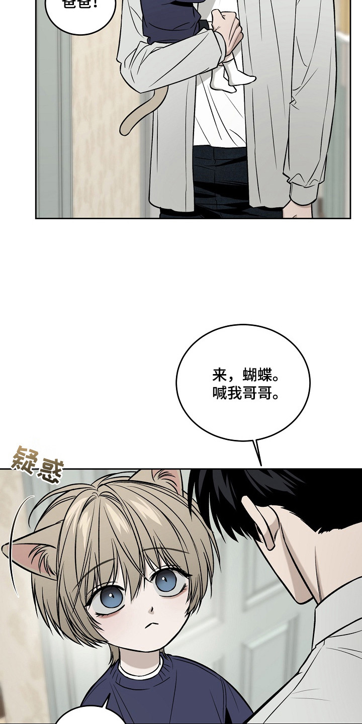 侵蚀猫咪日记动画介绍漫画,第6章：照片5图