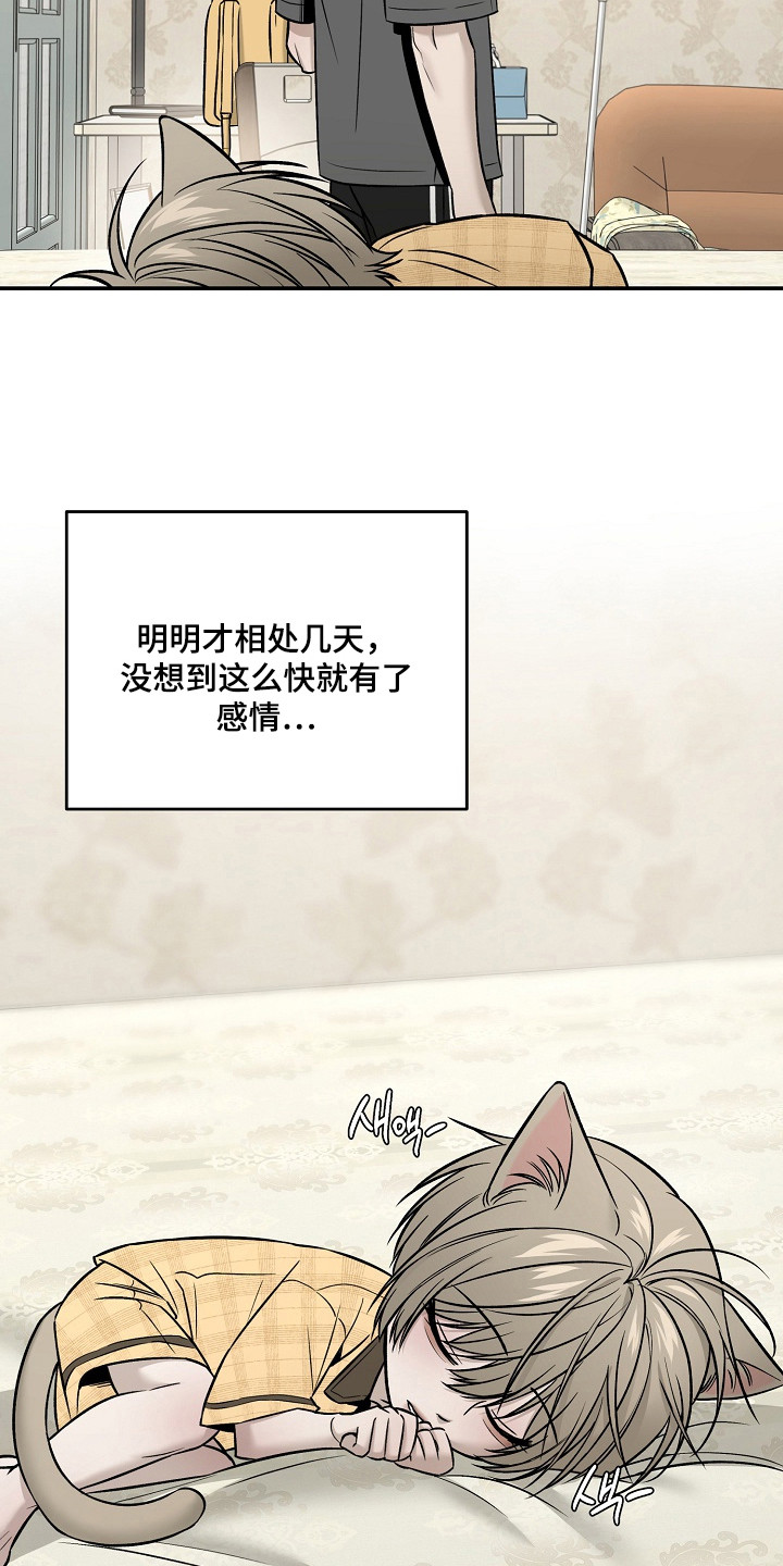 侵蚀猫咪日记动画介绍漫画,第6章：照片4图