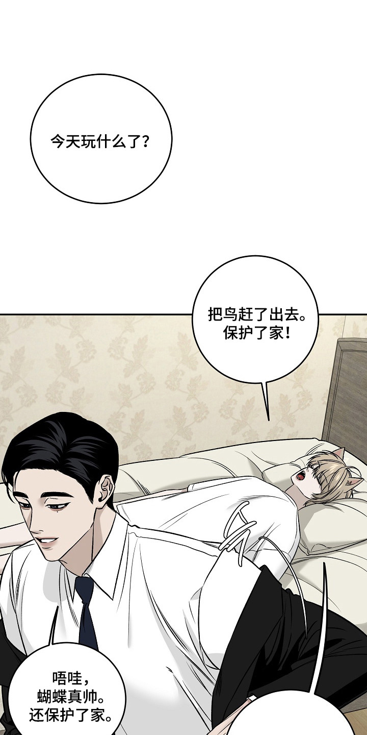 侵蚀猫咪日记3玩法攻略漫画,第1章：小猫玩具4图