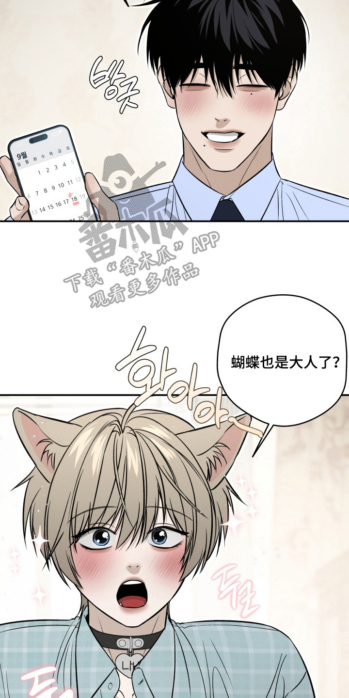 侵蚀猫咪日记作者有几个漫画,第9章：长大了2图