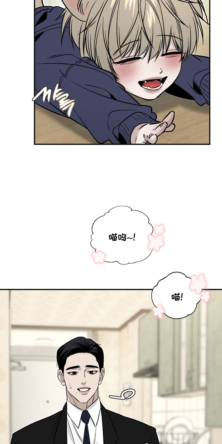 侵蚀猫咪日记大结局剧情解析漫画,第3章：收留1图