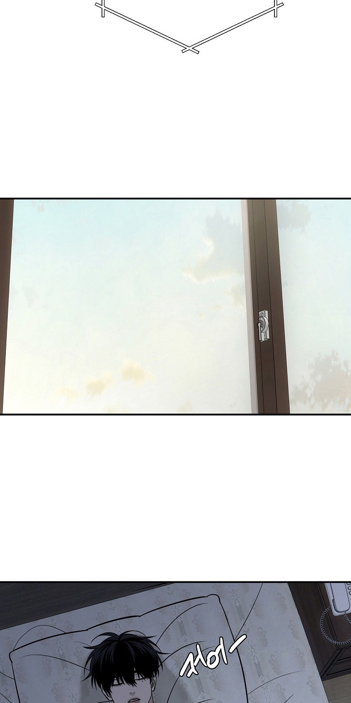 侵蚀猫咪日记喵仔漫画,第5章：寻找主人5图