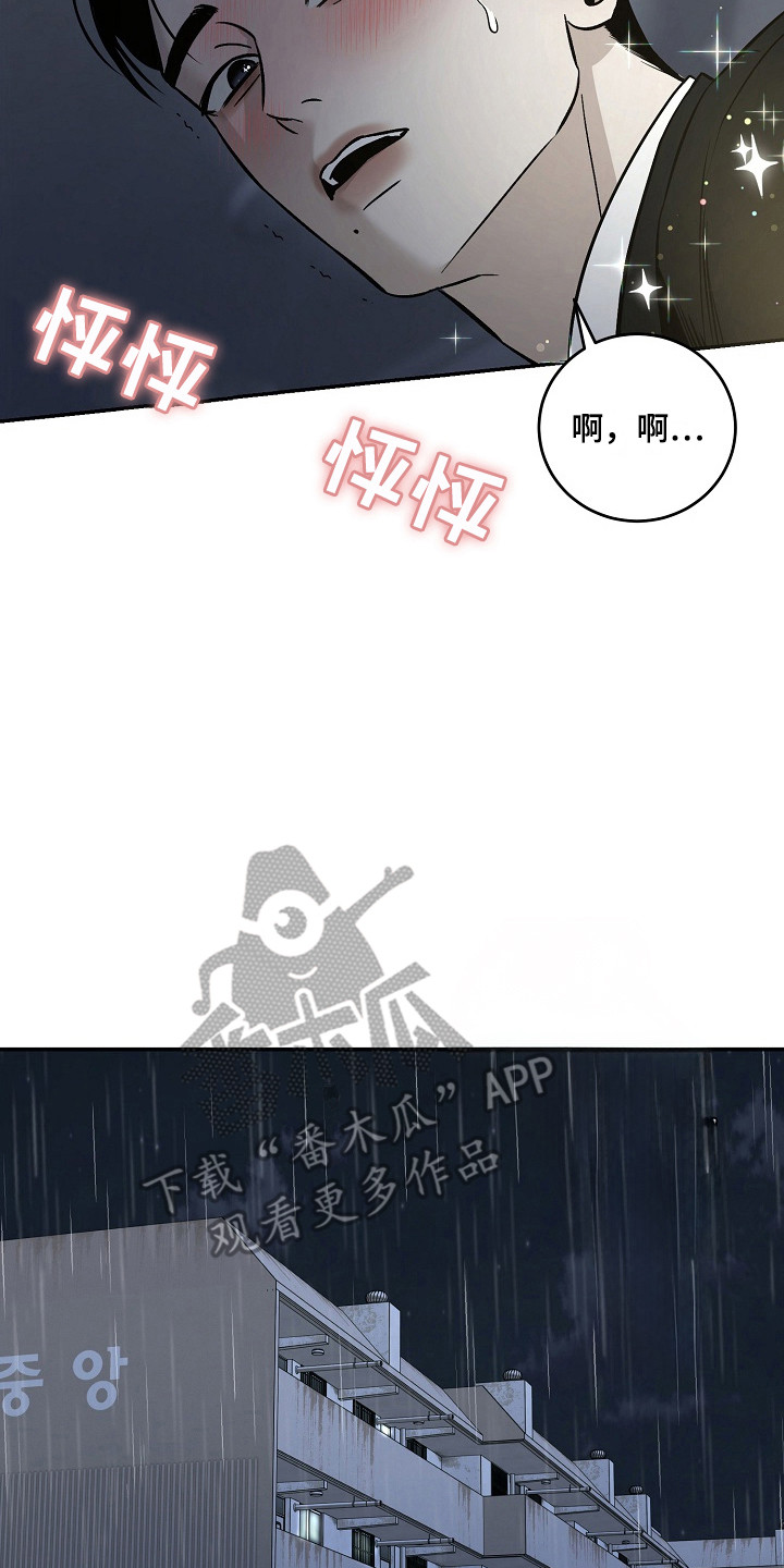 侵蚀猫咪日记动画介绍漫画,第3章：收留4图