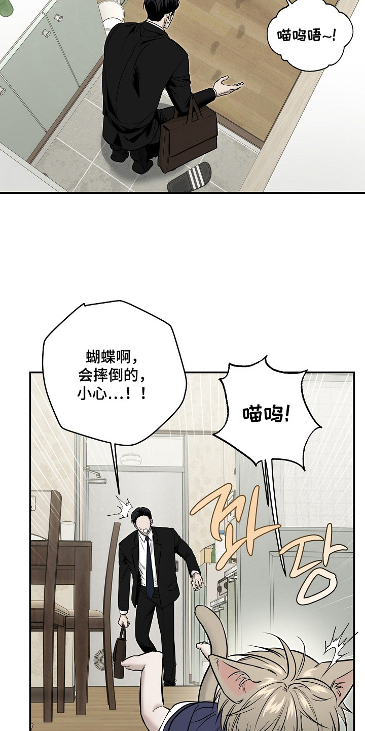 侵蚀猫咪日记在漫蛙上叫什么漫画,第3章：收留3图