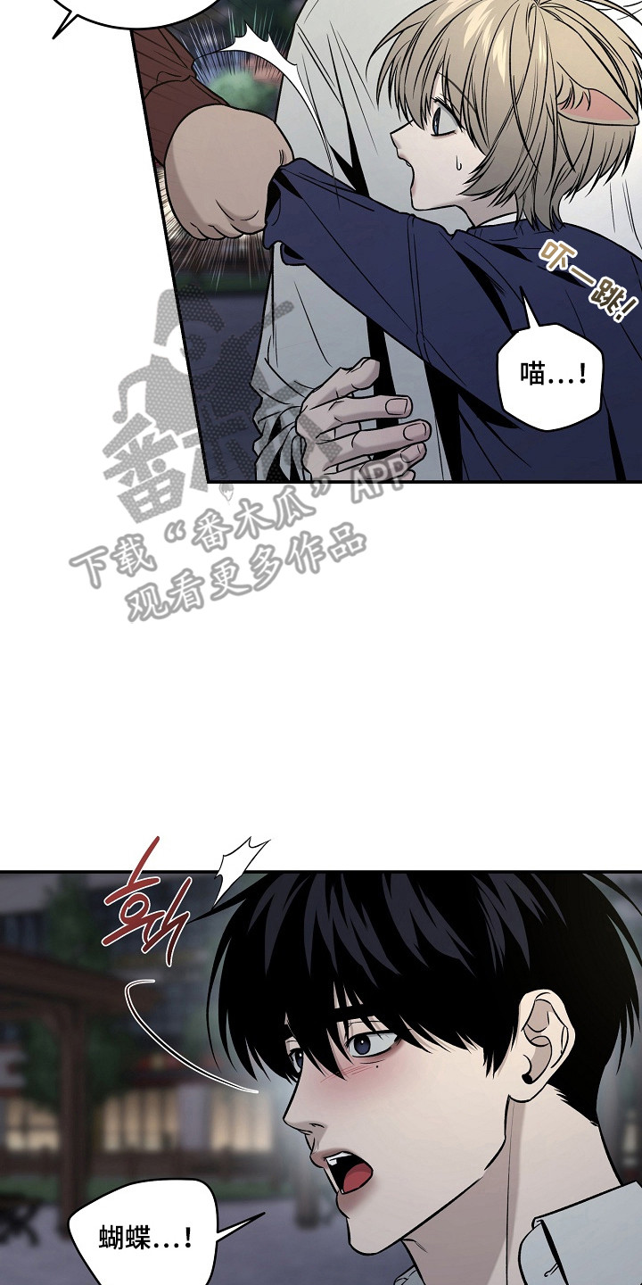 侵蚀猫咪日记3玩法攻略漫画,第7章：分别4图