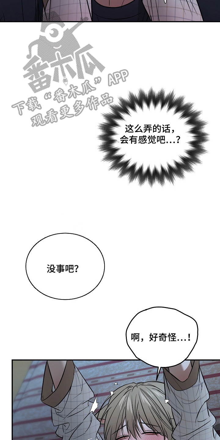 侵蚀猫咪日记动画介绍漫画,第11章：帮忙解决3图