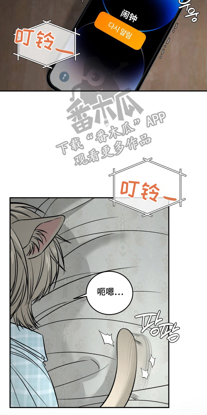 侵蚀猫咪日记动画介绍漫画,第8章：自责5图