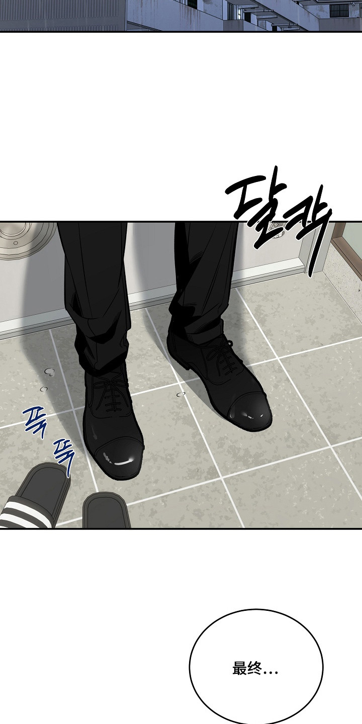 侵蚀猫咪日记动画介绍漫画,第3章：收留5图