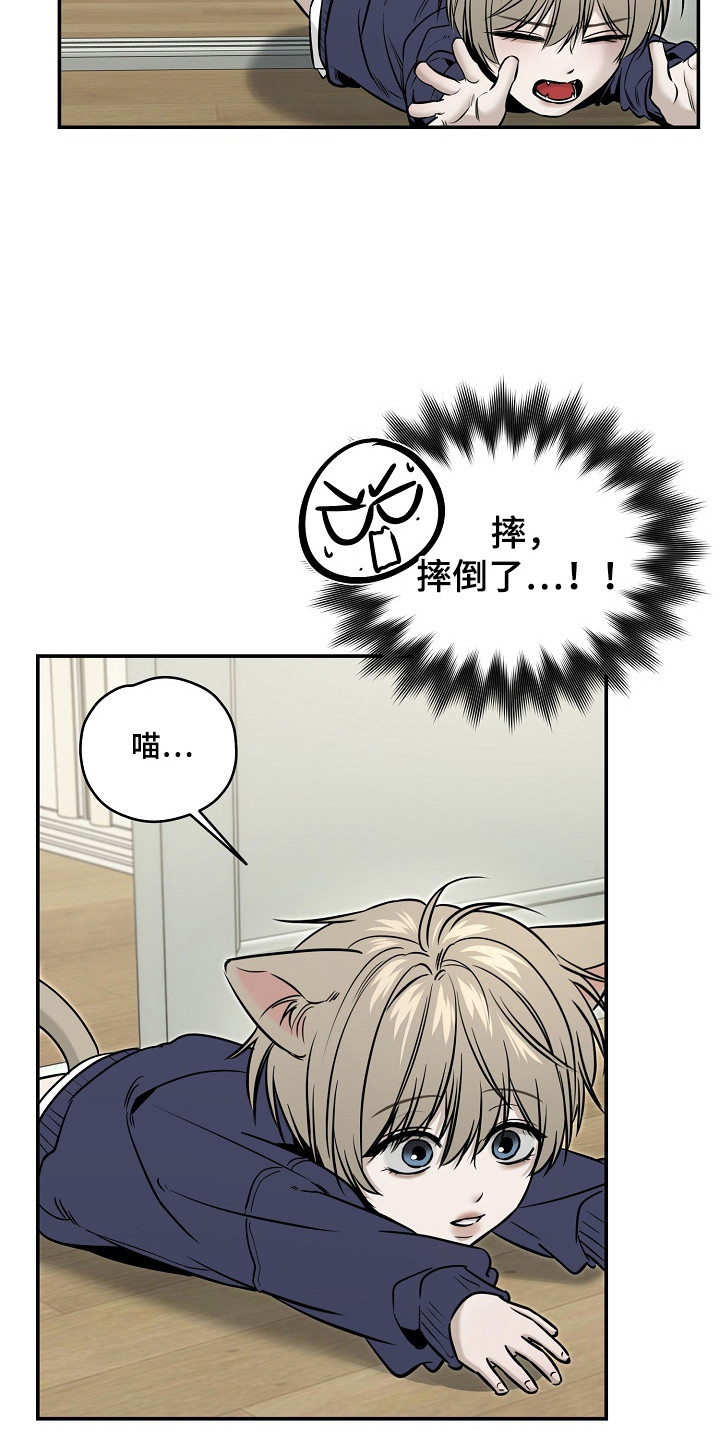 侵蚀猫咪日记在漫蛙上叫什么漫画,第3章：收留4图