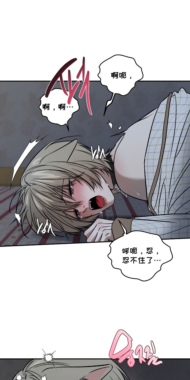 侵蚀猫咪日记在漫蛙上叫什么漫画,第12章：负起责任（完结）5图