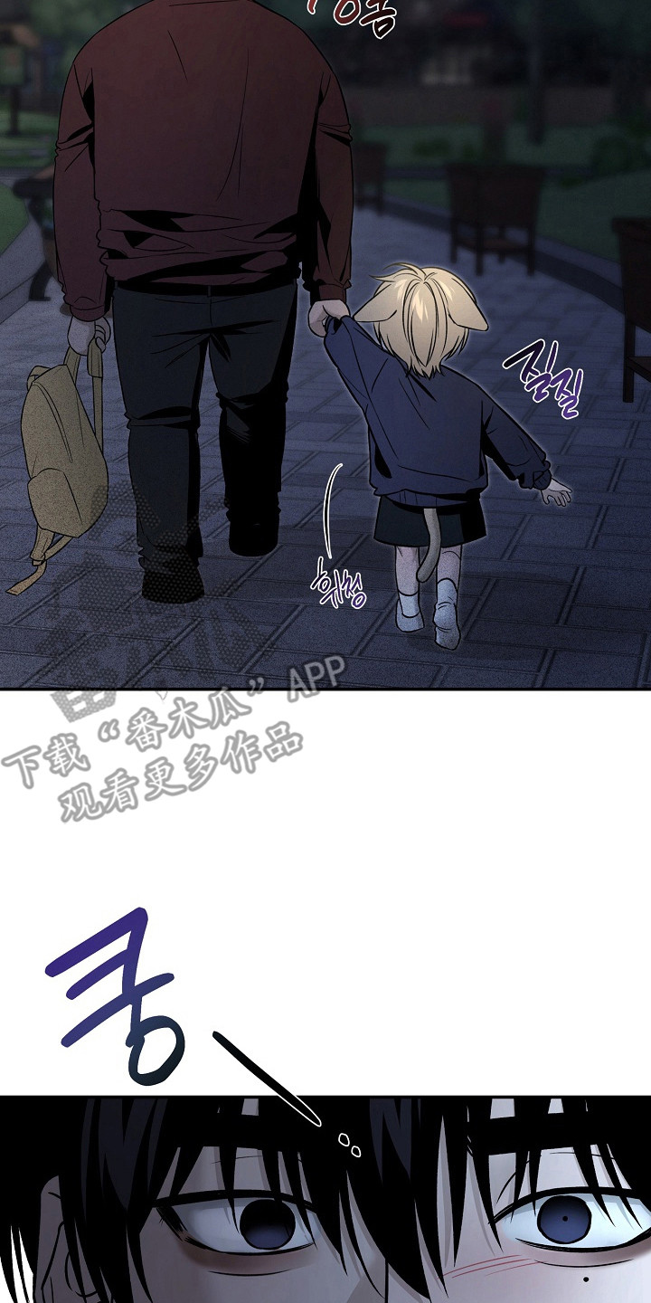 侵蚀猫咪日记3攻略漫画,第7章：分别3图