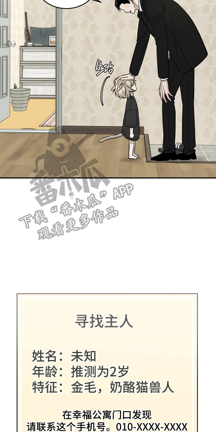 侵蚀猫咪日记喵仔漫画,第5章：寻找主人5图