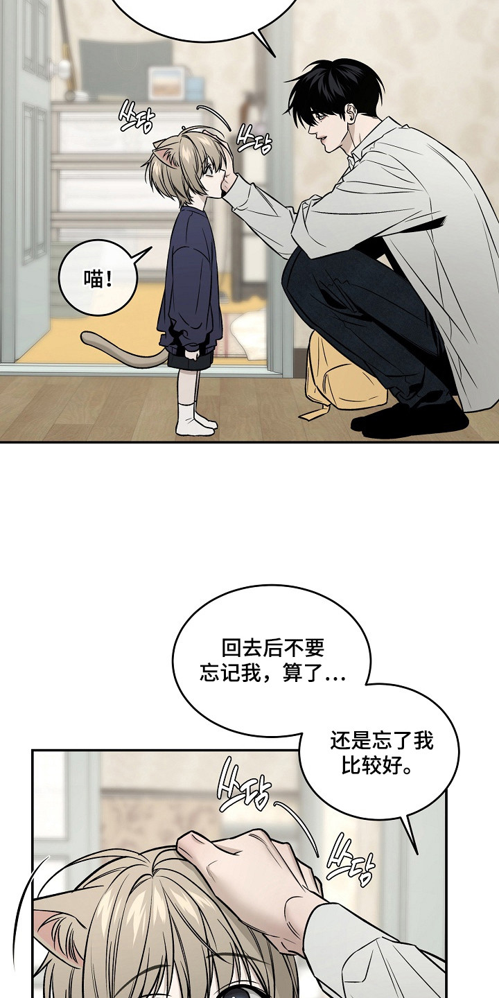 侵蚀猫咪日记动画介绍漫画,第6章：照片1图