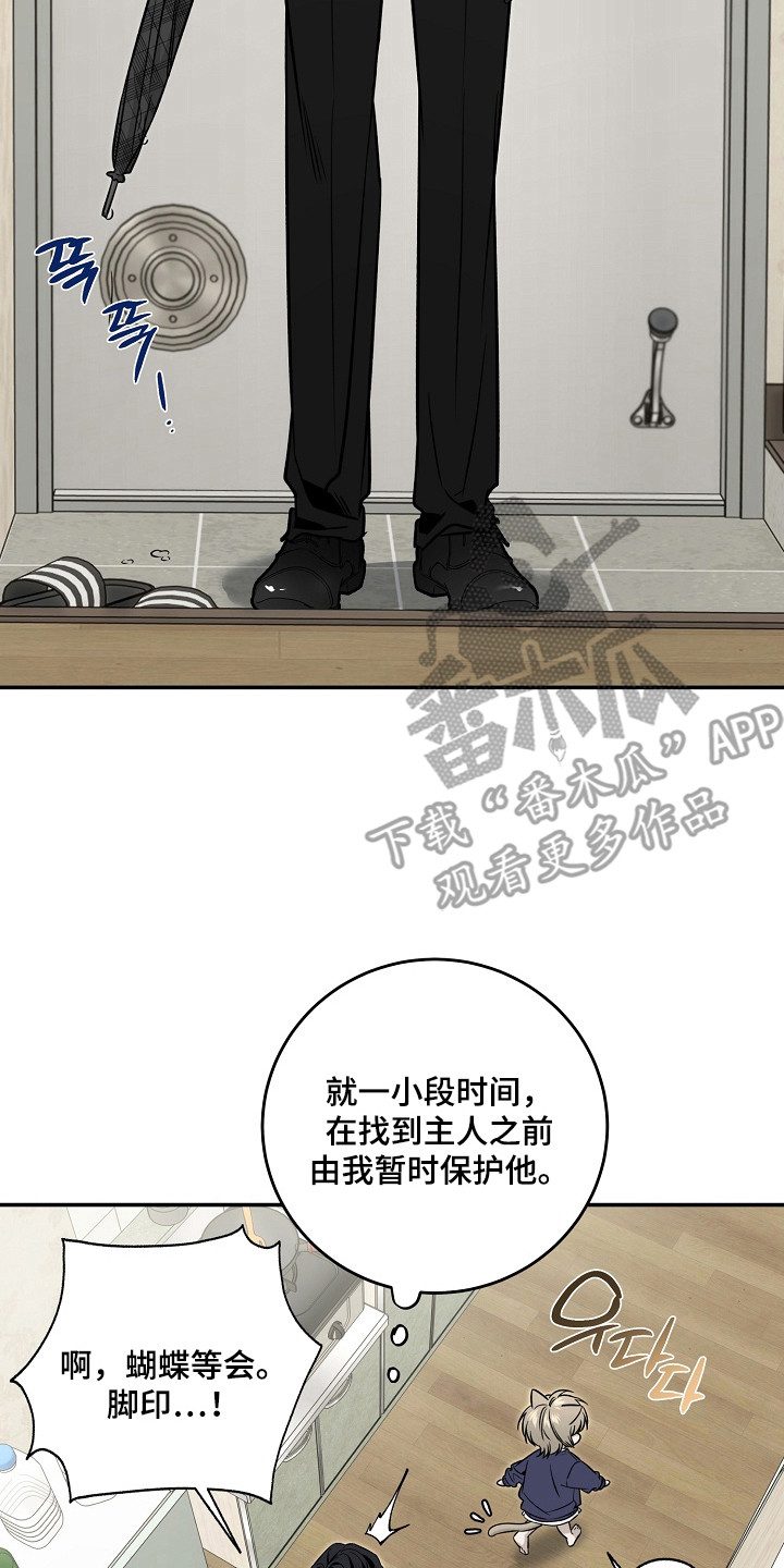 侵蚀猫咪日记在漫蛙上叫什么漫画,第3章：收留2图