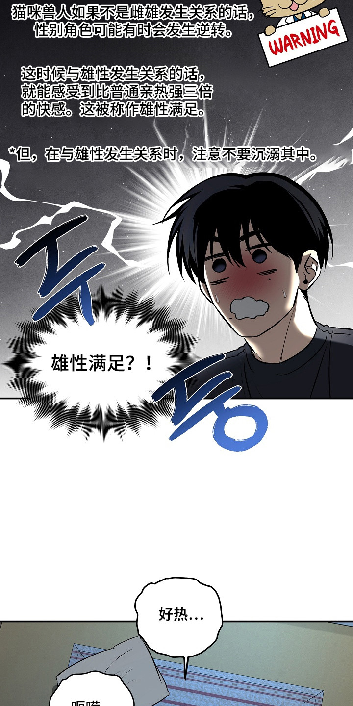 侵蚀猫咪日记动画介绍漫画,第11章：帮忙解决5图