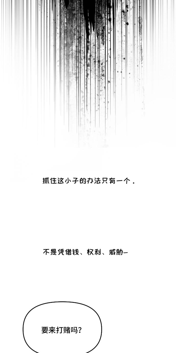 罪城之下漫画,第24章：再也没有你生活过的花丛了2图