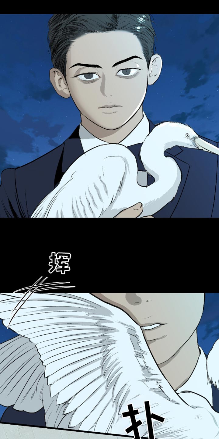 罪城之下漫画,第24章：再也没有你生活过的花丛了2图
