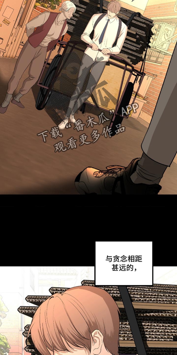 罪城之下漫画,第24章：再也没有你生活过的花丛了3图
