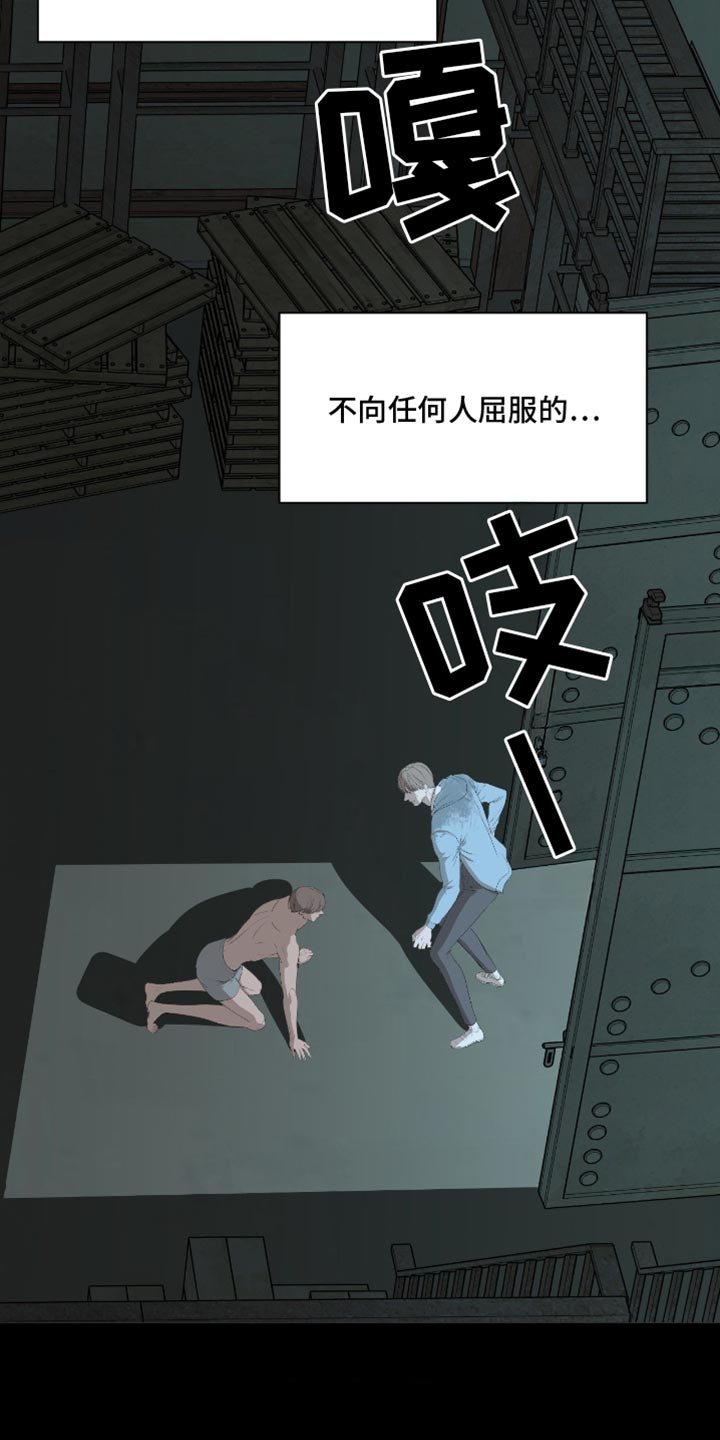 罪城之下漫画,第24章：再也没有你生活过的花丛了3图