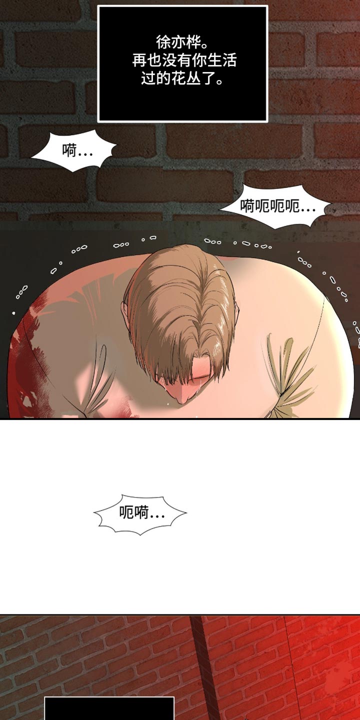 罪城之下漫画,第24章：再也没有你生活过的花丛了3图