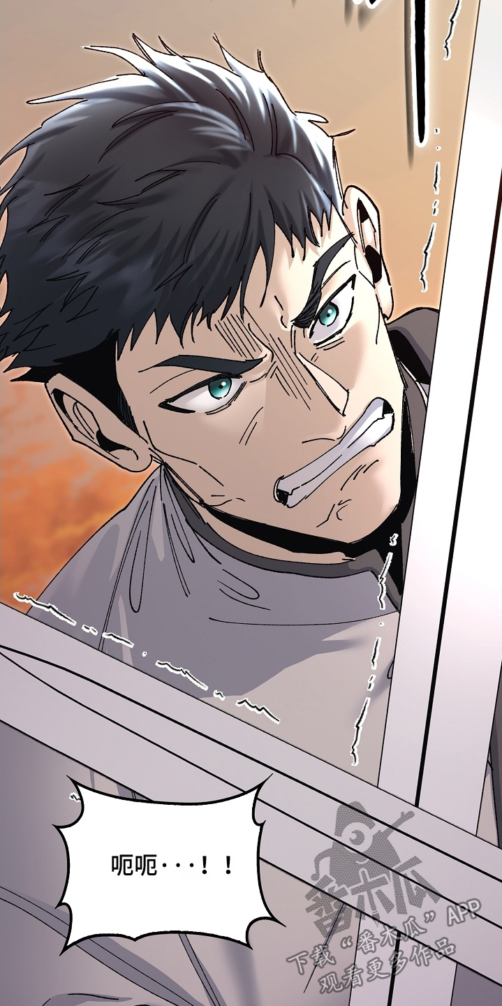 权利的代价角色漫画,第81章：这种眼神4图