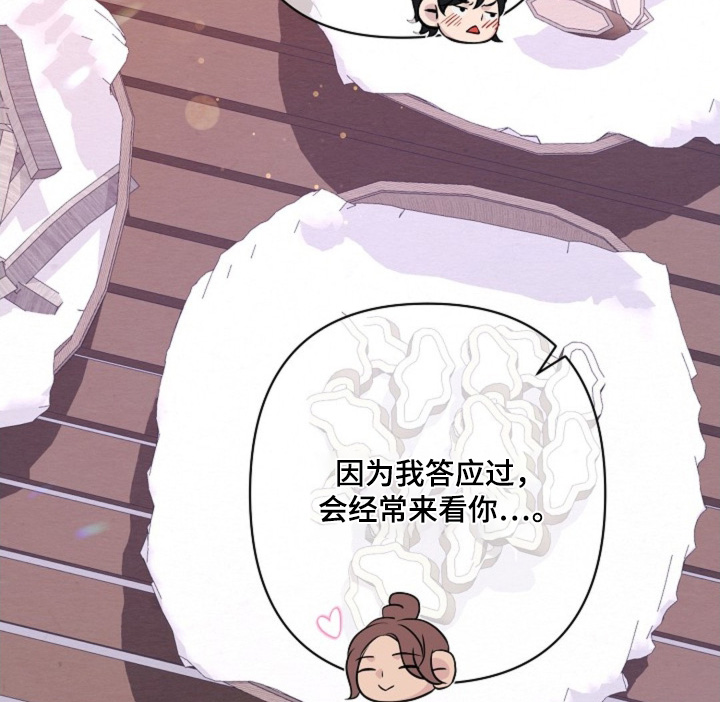 第100章：这样的约定0