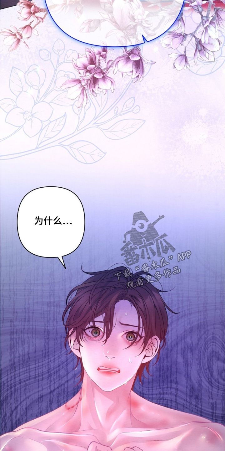 乱世之下手游下载漫画,第114章：你说什么4图