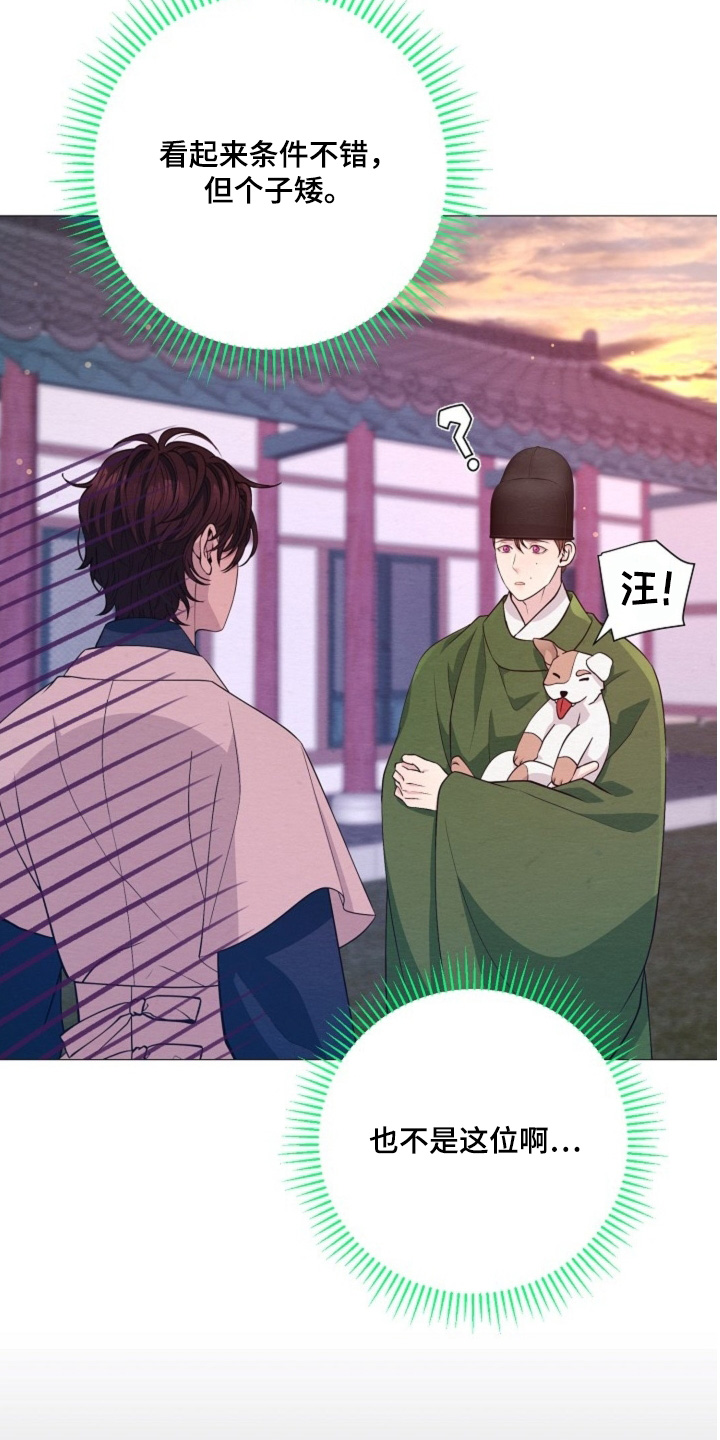 乱世之龙活动玩法漫画,第107章：找错人了5图