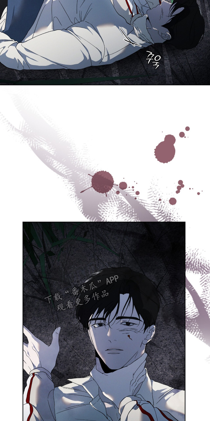 物种的起源未删减pdf漫画,第29章：两清了5图