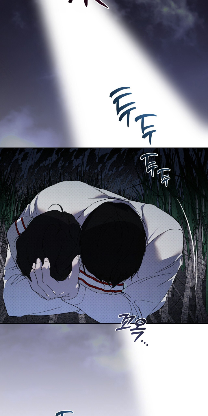 物种的定义和概念漫画,第29章：两清了2图