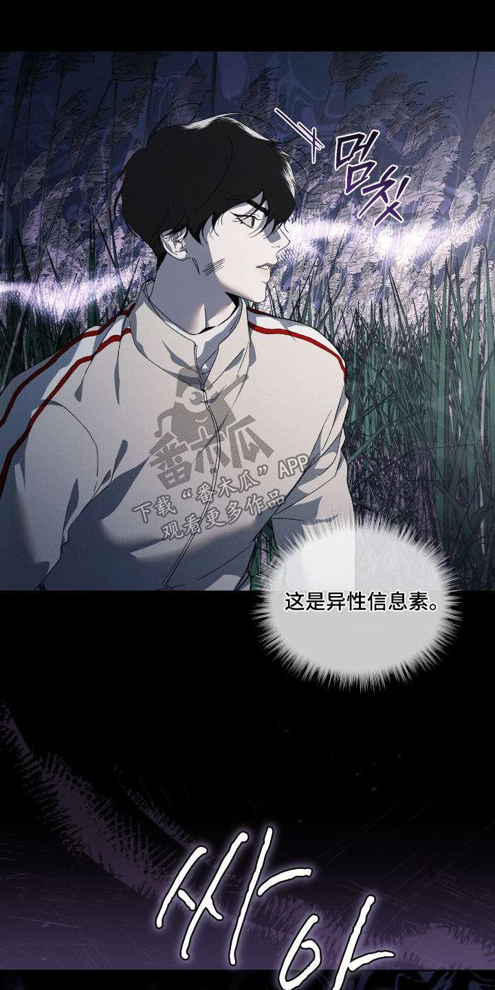 物种的进化漫画,第28章：谢谢你帮我4图