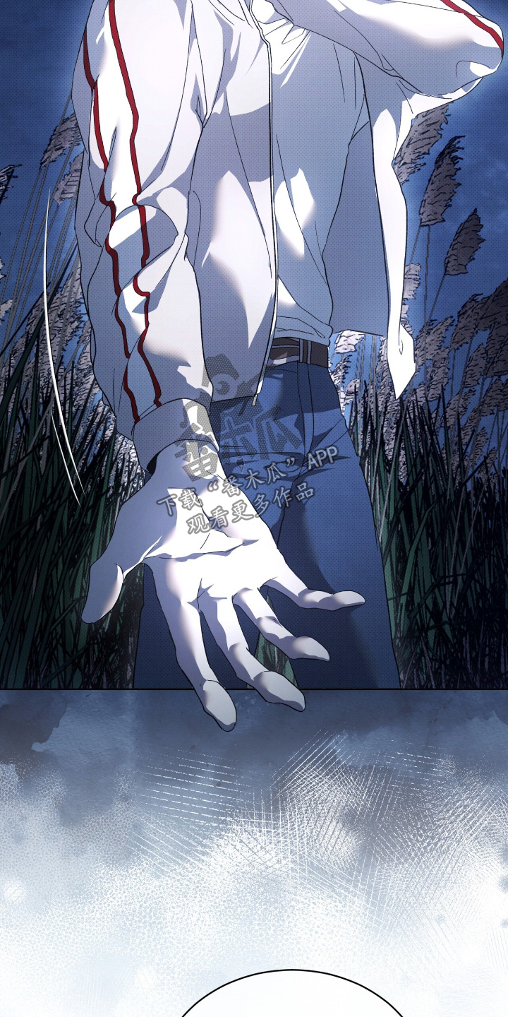 物种的进化作者是谁漫画,第29章：两清了2图