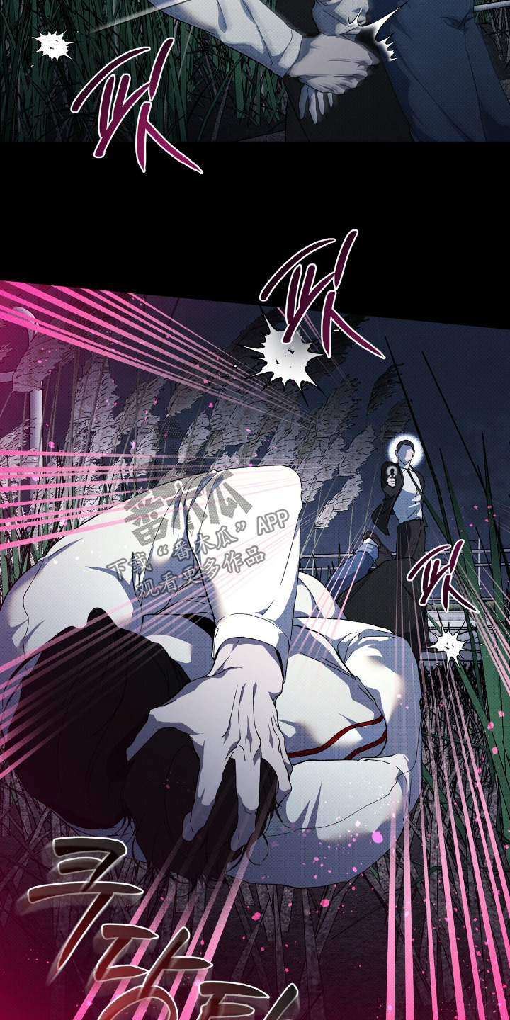 物种的分化和进化漫画,第29章：两清了5图