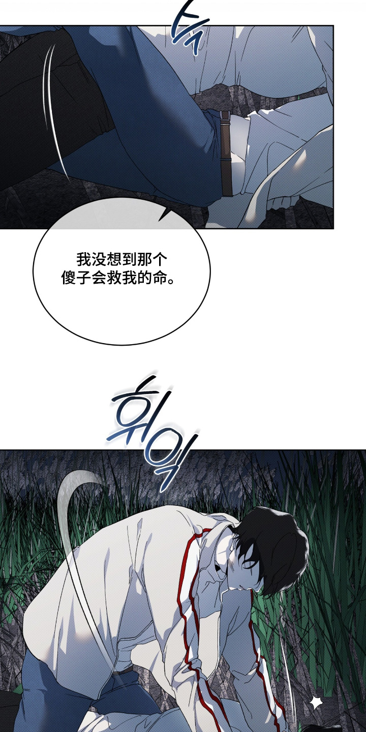 物种的起源未删减pdf漫画,第29章：两清了4图