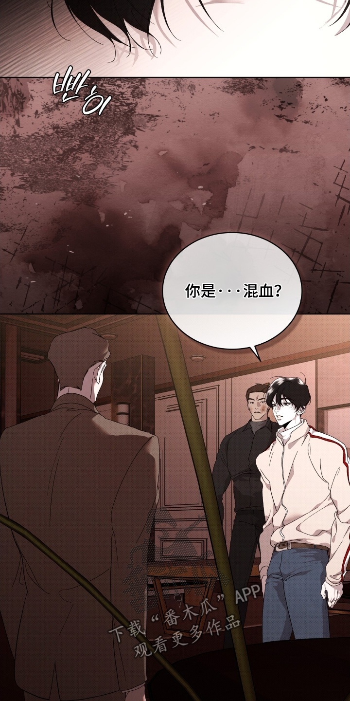 物种起源达尔文漫画,第35章：住手1图