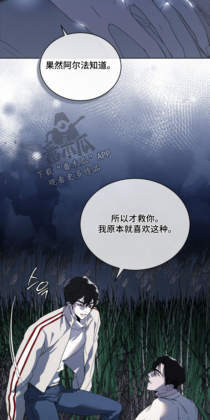 物种的进化作者是谁漫画,第29章：两清了5图