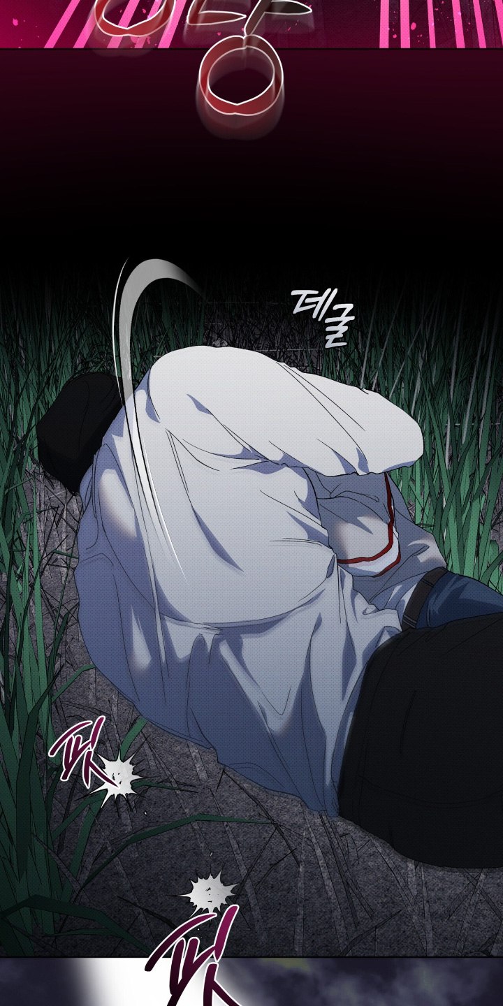 物种的定义和概念漫画,第29章：两清了1图