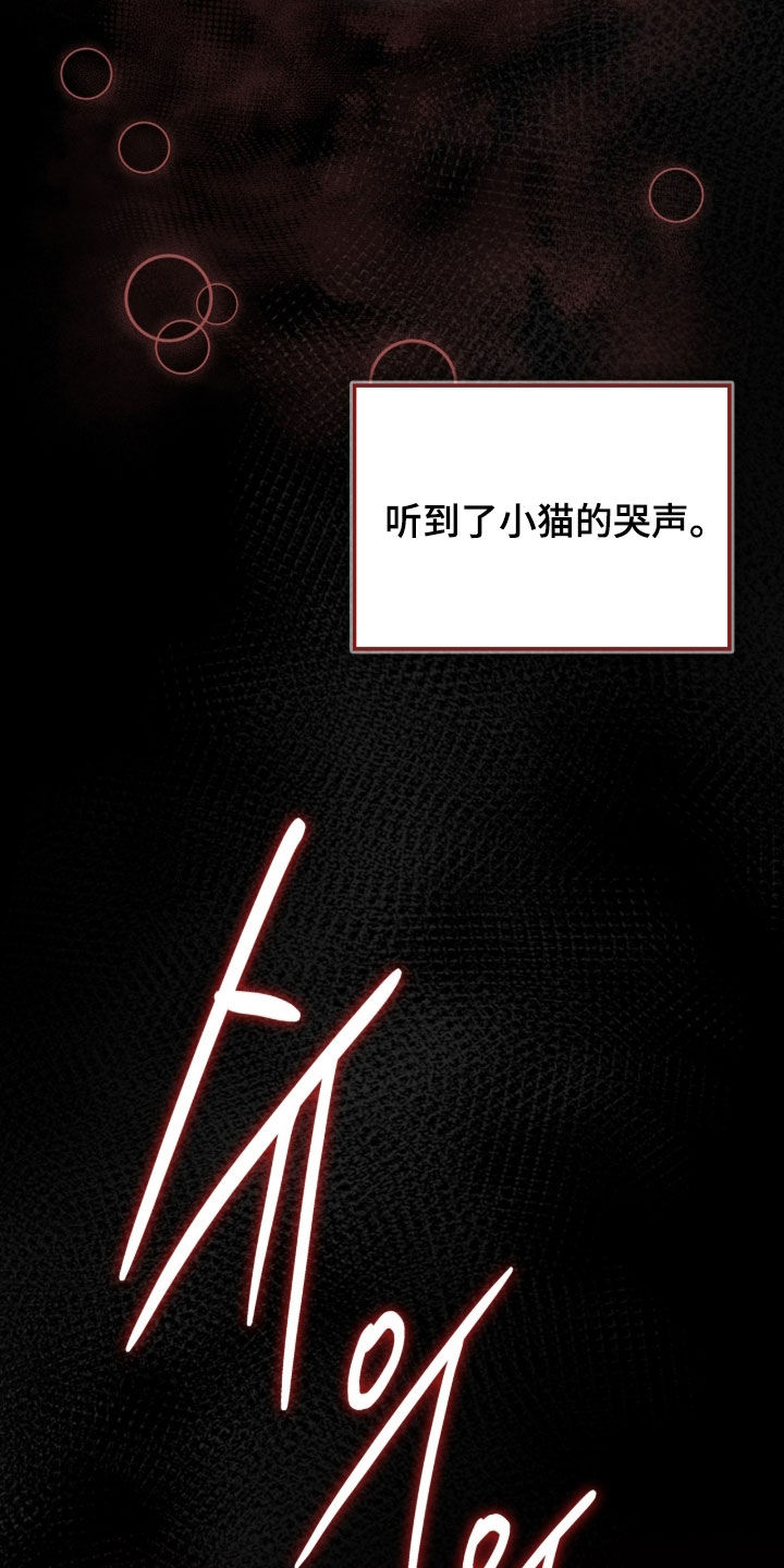 第95章：附身2