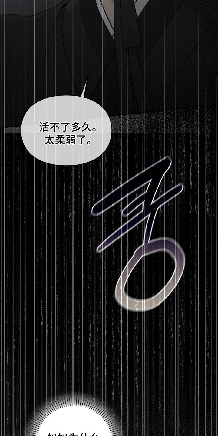 隔世琴缘电影免费完整版漫画,第94章：都怪你啊2图