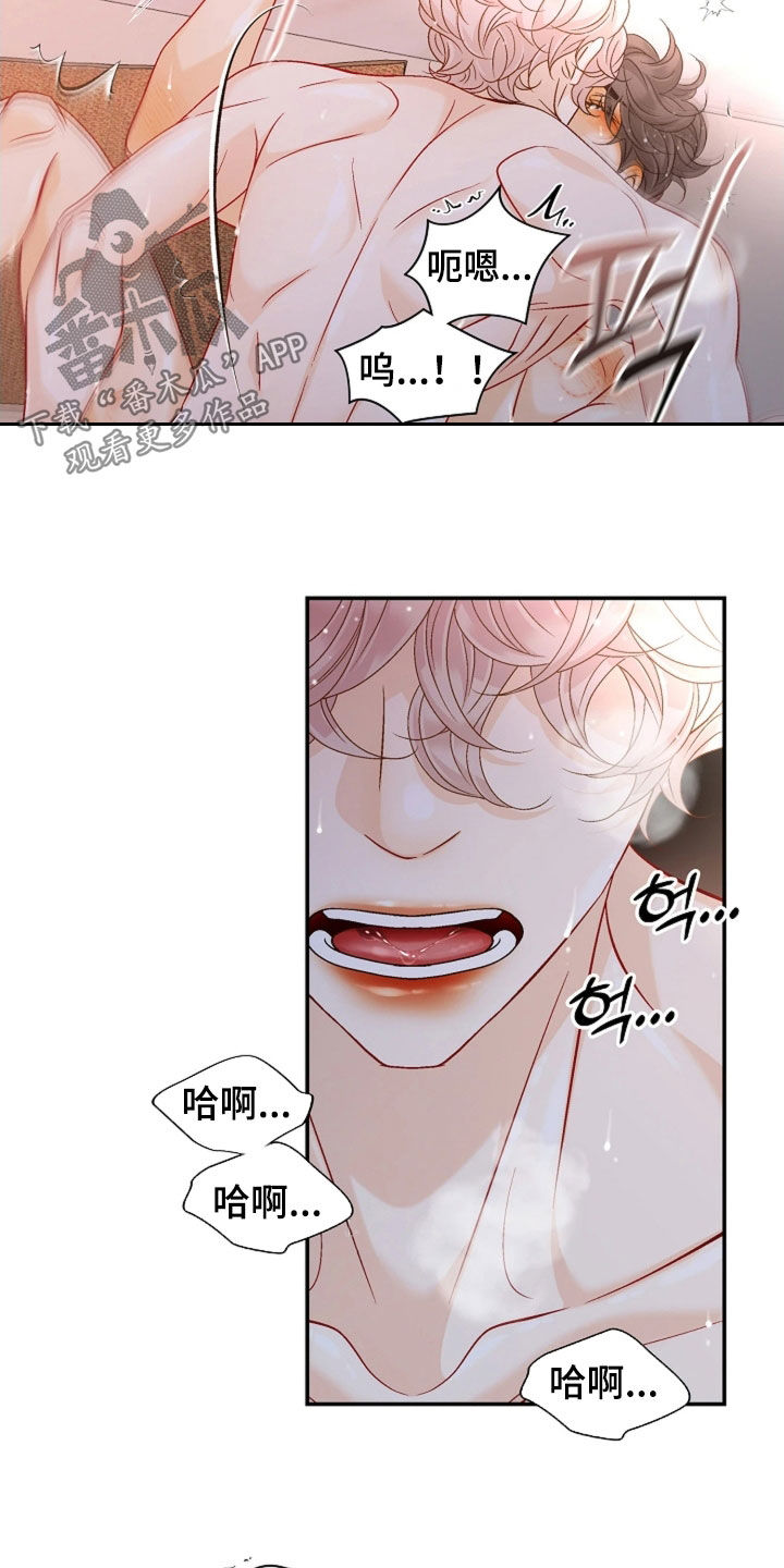 剧毒纽带漫画,第69章：你是我的毒药3图