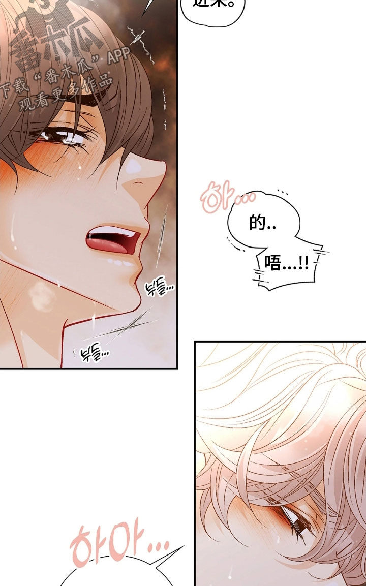 剧毒纽带漫画,第79章：不可思议5图