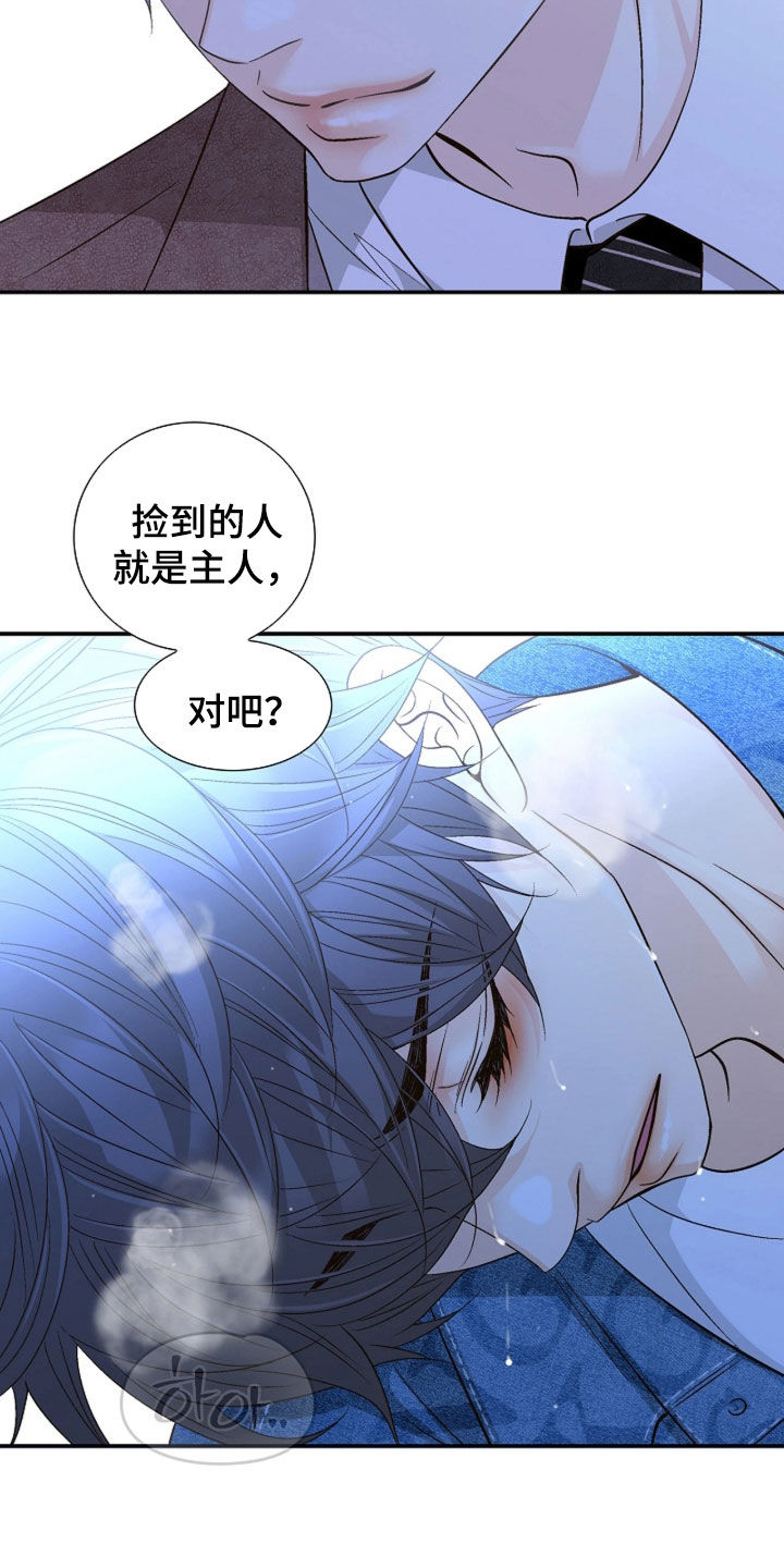 剧毒纽带小说漫画,第82章：到底在哪（第一季完结）2图