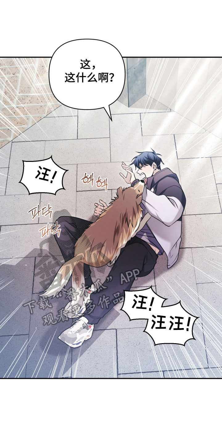 绝对复仇宣言漫画,第23章：薏米5图