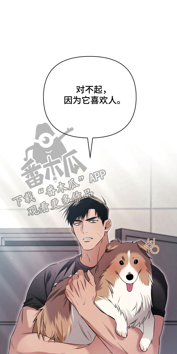 决绝的穿越之复仇漫画,第23章：薏米4图