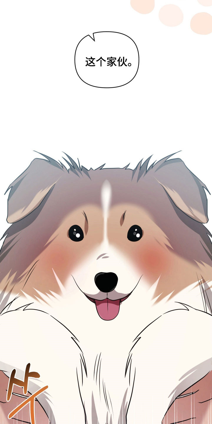 决绝的穿越之复仇漫画,第23章：薏米2图