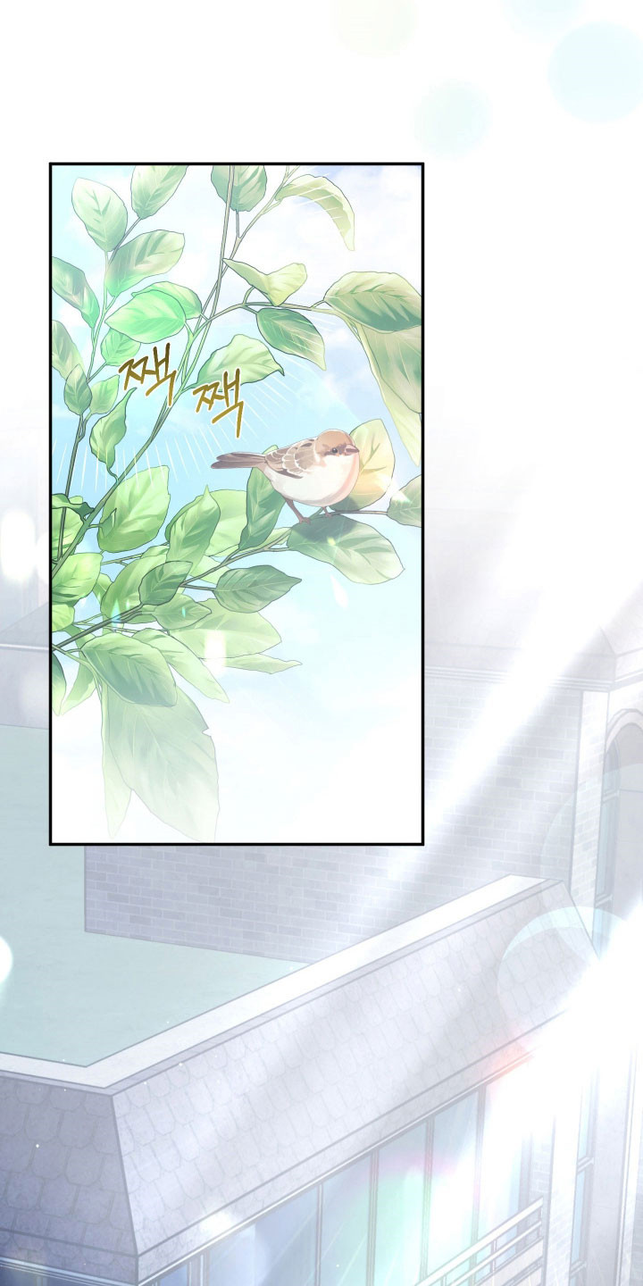 绝对复仇宣言韩漫漫画,第22章：住在一起3图