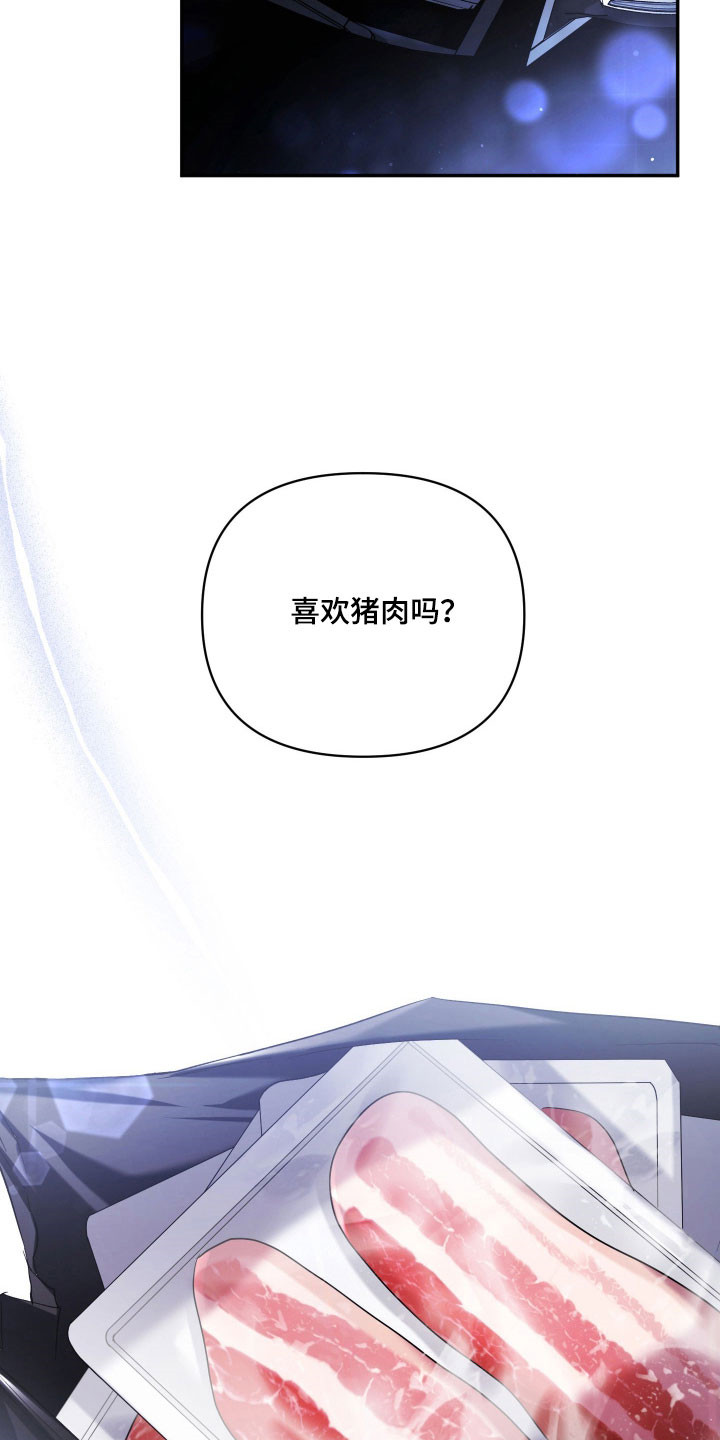 绝对复仇宣言人物介绍漫画,第21章：烤肉艺术2图